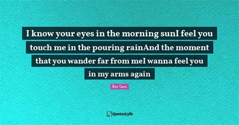 i know your eyes in the morning sun